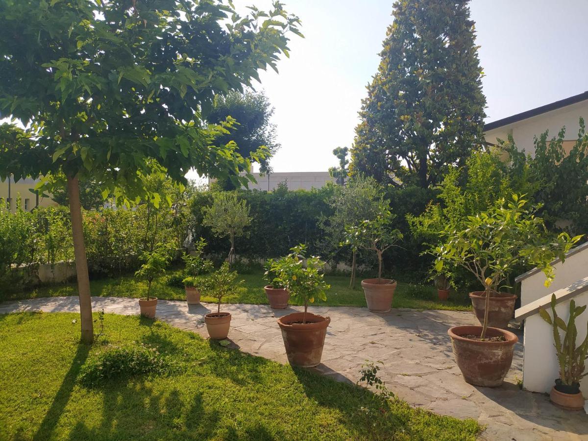 B&B Villa La Bouganville Camaiore Exterior foto