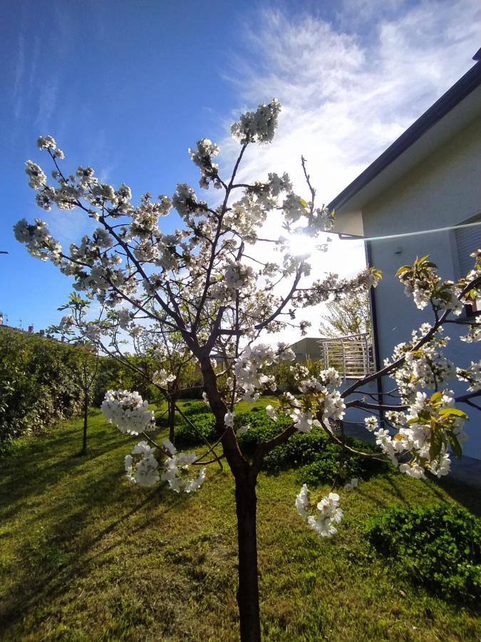 B&B Villa La Bouganville Camaiore Exterior foto